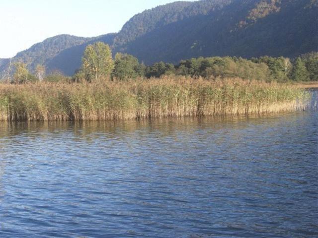 Gasthof Laggner Steindorf am Ossiacher See Luaran gambar